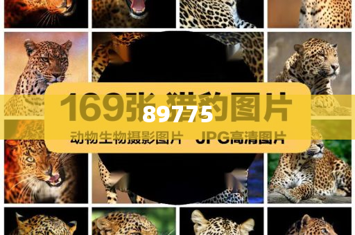 關(guān)于新奧歷史開(kāi)獎(jiǎng)記錄的最新信息，今天公布了嗎？，新奧歷史開(kāi)獎(jiǎng)記錄最新信息公布了嗎？