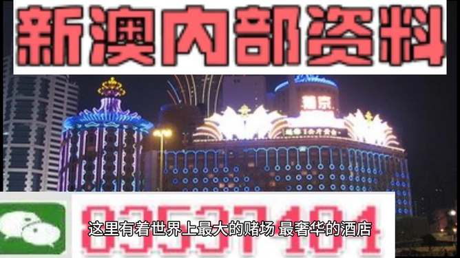 新澳持碼會資料詳解，新澳持碼會資料全面解析