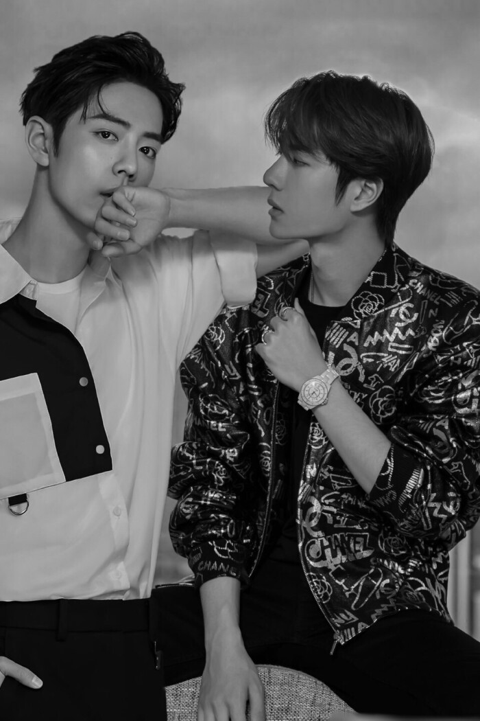 老牌王中王一肖主一碼，深度解析與探索，老牌王中王一肖主一碼深度解析與探索揭秘