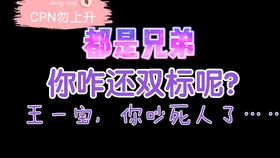 一肖二肖是什么意思——深度解析中國(guó)民俗中的生肖文化，深度解析中國(guó)民俗中的生肖文化，一肖二肖的含義與故事