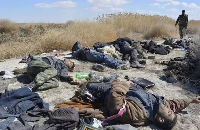 敘利亞戰(zhàn)爭的起因，復雜交織的內(nèi)外因素解析，敘利亞戰(zhàn)爭起因解析，內(nèi)外因素交織復雜