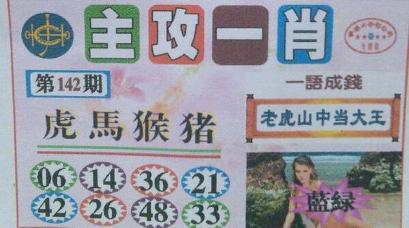 王中王號碼一肖，揭秘背后的秘密與策略，揭秘王中王號碼一肖背后的秘密與策略之道