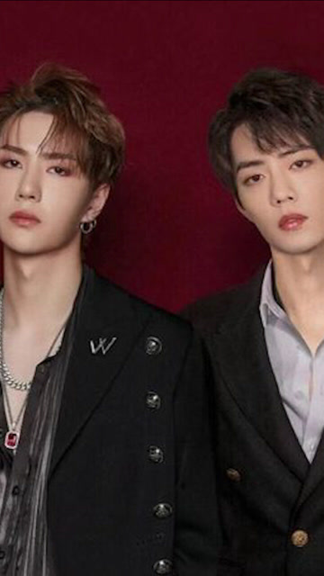 王中王一肖必中，揭秘背后的秘密與策略，揭秘王中王一肖的成功秘訣與策略