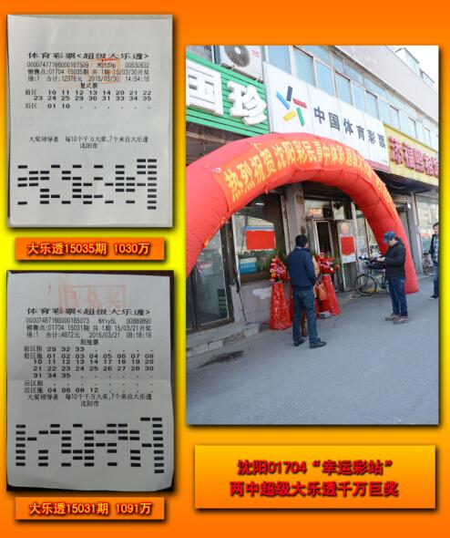 王中王平特一肖二選一，深度解析與SEO優(yōu)化策略，王中王平特一肖二選一深度解析與SEO策略優(yōu)化指南