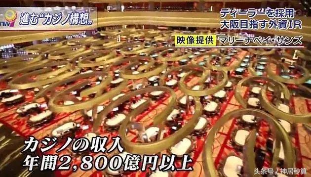 新澳門彩生肖走勢圖，深度解析與預(yù)測，澳門彩生肖走勢圖深度解析及預(yù)測報(bào)告