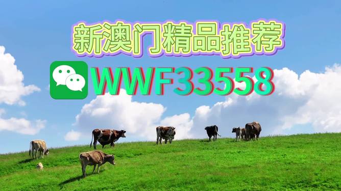 新澳今晚9點30分準(zhǔn)確生肖預(yù)測——揭秘生肖運勢，把握未來走向，新澳今晚9點30分生肖運勢大揭秘，預(yù)測未來走向，把握好運勢！