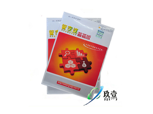 王中王管家婆平特一肖，揭秘背后的秘密與策略，揭秘王中王管家婆平特一肖背后的策略與秘密