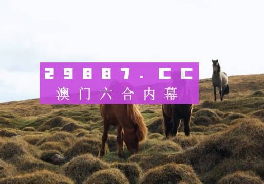 澳門開獎(jiǎng)結(jié)果及今日開獎(jiǎng)記錄查詢——全面解析與實(shí)時(shí)查詢指南，澳門開獎(jiǎng)結(jié)果及今日開獎(jiǎng)記錄查詢，全面解析與實(shí)時(shí)指南