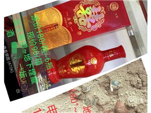 王中王一肖論一壇，深度探討與SEO優(yōu)化策略，王中王一肖論壇，深度探討與SEO優(yōu)化策略分享