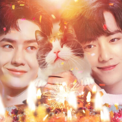 王中王一馬一肖兔費資料，深度解析與SEO優(yōu)化策略，王中王一馬一肖兔費資料，深度解析與SEO優(yōu)化策略全攻略