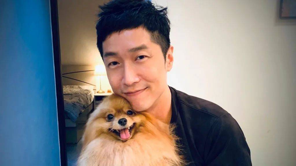 香港四不像劉伯溫必中一肖——揭秘彩票背后的秘密，揭秘彩票背后的秘密，劉伯溫四不像預測與香港必中生肖彩票解析