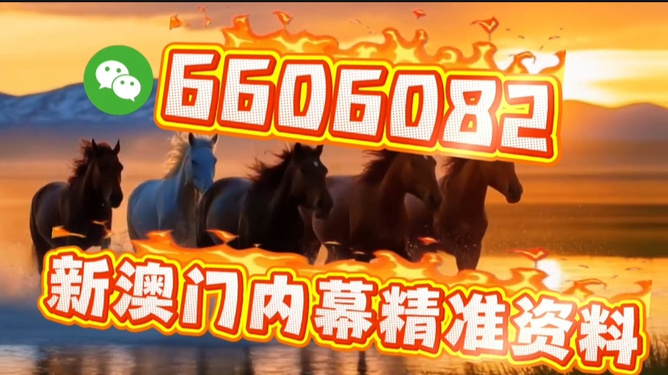 澳門今晚必開一肖一特，探索生肖彩票的魅力與預(yù)測，澳門生肖彩票探索，魅力揭秘與今晚預(yù)測一肖一特