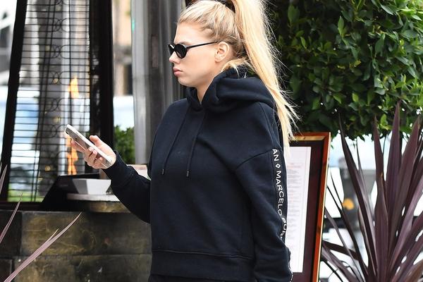 四不像一肖圖王中王，揭秘背后的奧秘與獨(dú)特魅力，揭秘四不像一肖圖王中王的奧秘與獨(dú)特魅力