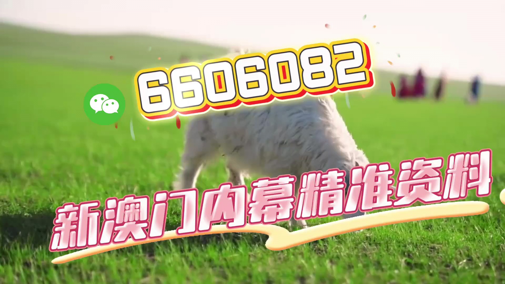 澳門今晚必開一肖一特，揭秘生肖彩票的魅力與預(yù)測技巧，澳門生肖彩票預(yù)測揭秘，一肖一特魅力與預(yù)測技巧探討