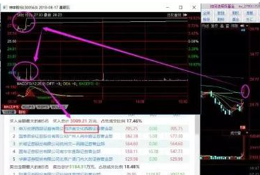 探索300563股吧的獨(dú)特魅力與機(jī)遇，揭秘300563股吧，獨(dú)特魅力與無限機(jī)遇