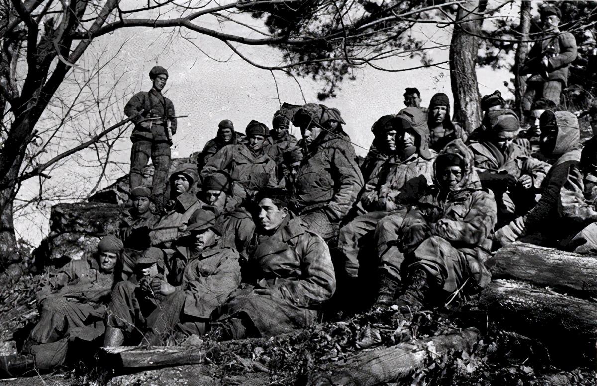 王中王119期指一生肖，深度解析與預(yù)測，王中王119期生肖深度解析與預(yù)測，揭秘未來走向