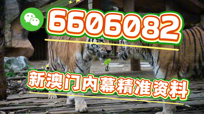 澳門今晚必開一肖一特，探索生肖彩票的魅力與預(yù)測，澳門生肖彩票探索，魅力揭秘與今晚預(yù)測一肖一特