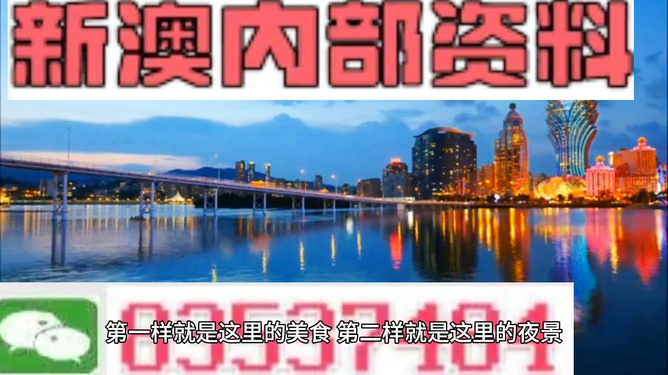 澳門免費(fèi)精準(zhǔn)大全4949，探索澳門博彩魅力的秘密，澳門博彩魅力揭秘，免費(fèi)精準(zhǔn)大全4949探索之旅