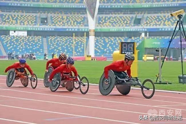 探索澳門未來(lái)，2025新澳門正版免費(fèi)資本車展望，澳門未來(lái)展望，2025資本車正版免費(fèi)探索之旅