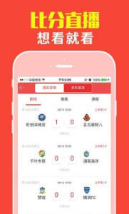 一肖配成龍深度解析與探索