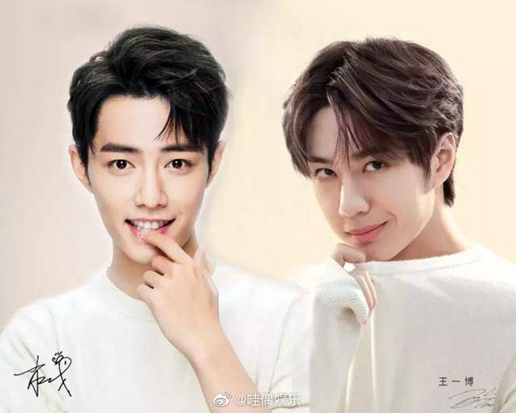 王中王一肖資料深度解析，一探究竟，王中王一肖資料深度解析，揭秘真相