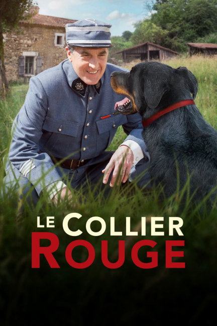 四不像王中王必中一肖，揭秘背后的秘密與策略，揭秘四不像王中王必中一肖的秘密與策略，揭秘背后的真相與策略