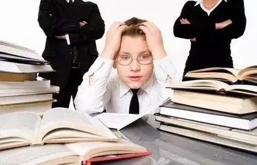 三肖必開一期王中王，揭秘背后的秘密與策略，揭秘三肖必開一期王中王的秘密與策略