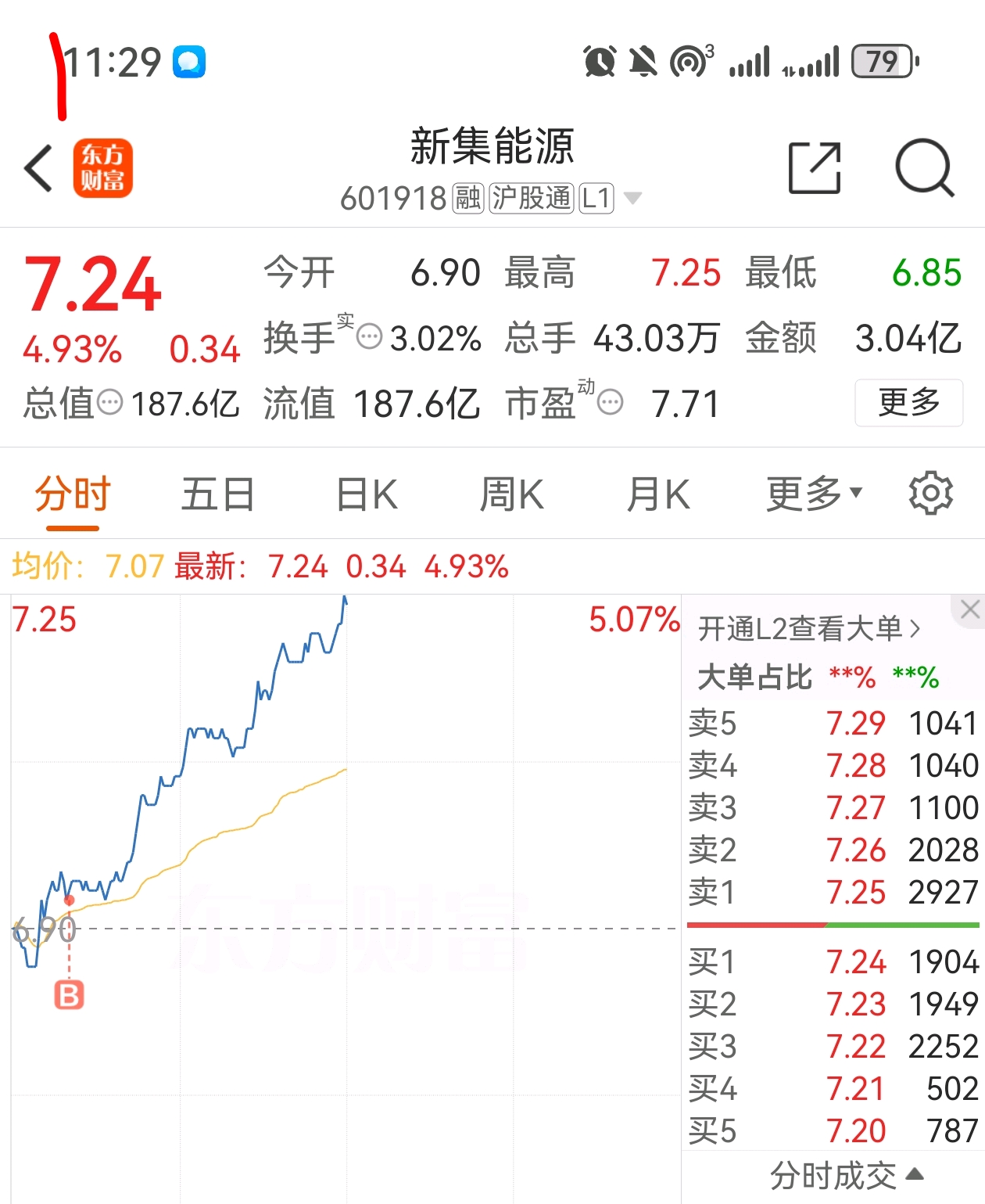 新能股份股票，深度解析與前景展望，新能股份股票深度解析及前景展望