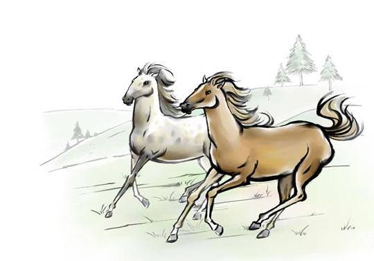 今期必劉伯溫打一生肖——探尋生肖奧秘與傳奇人物劉伯溫的關(guān)聯(lián)，劉伯溫與生肖奧秘，探尋傳奇人物與生肖的關(guān)聯(lián)