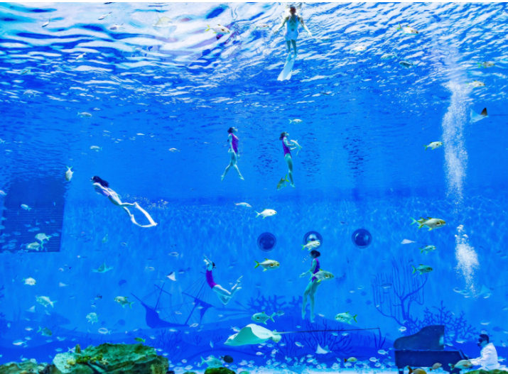 海昌海洋公園門票價(jià)格詳解，海昌海洋公園門票價(jià)格全面解析