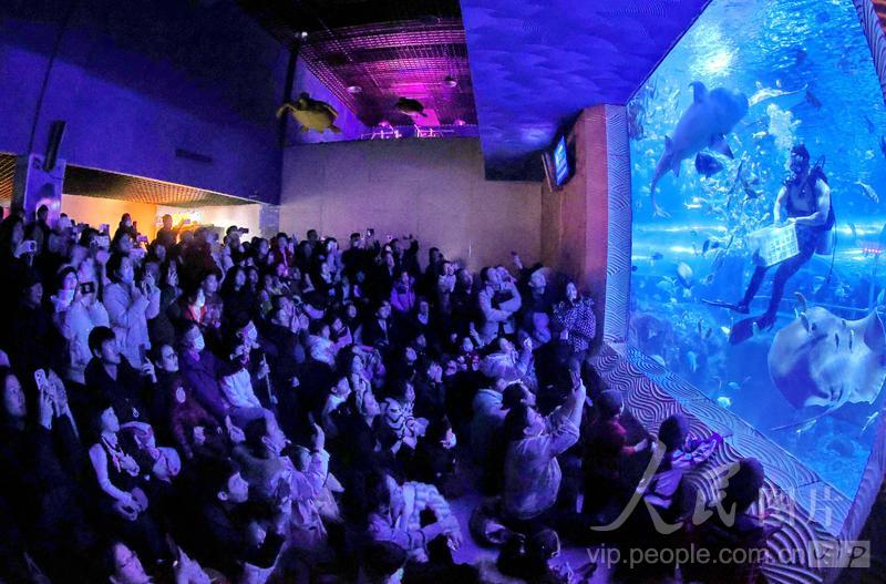 新澳2025今晚開獎結(jié)果，揭秘彩票背后的秘密與期待，揭秘新澳2025彩票開獎背后的秘密與期待，今晚開獎結(jié)果揭曉！