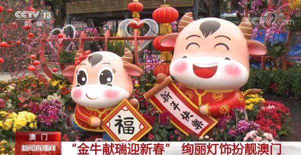 澳門金牛網(wǎng)金牛版論壇——探索與解析，澳門金牛網(wǎng)金牛版論壇，深度探索與解析