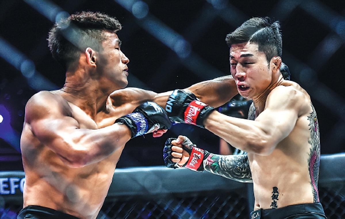 王中王07期指一生肖，深度解析與預(yù)測(cè)，王中王07期指一生肖，深度解析、預(yù)測(cè)與運(yùn)勢(shì)探討