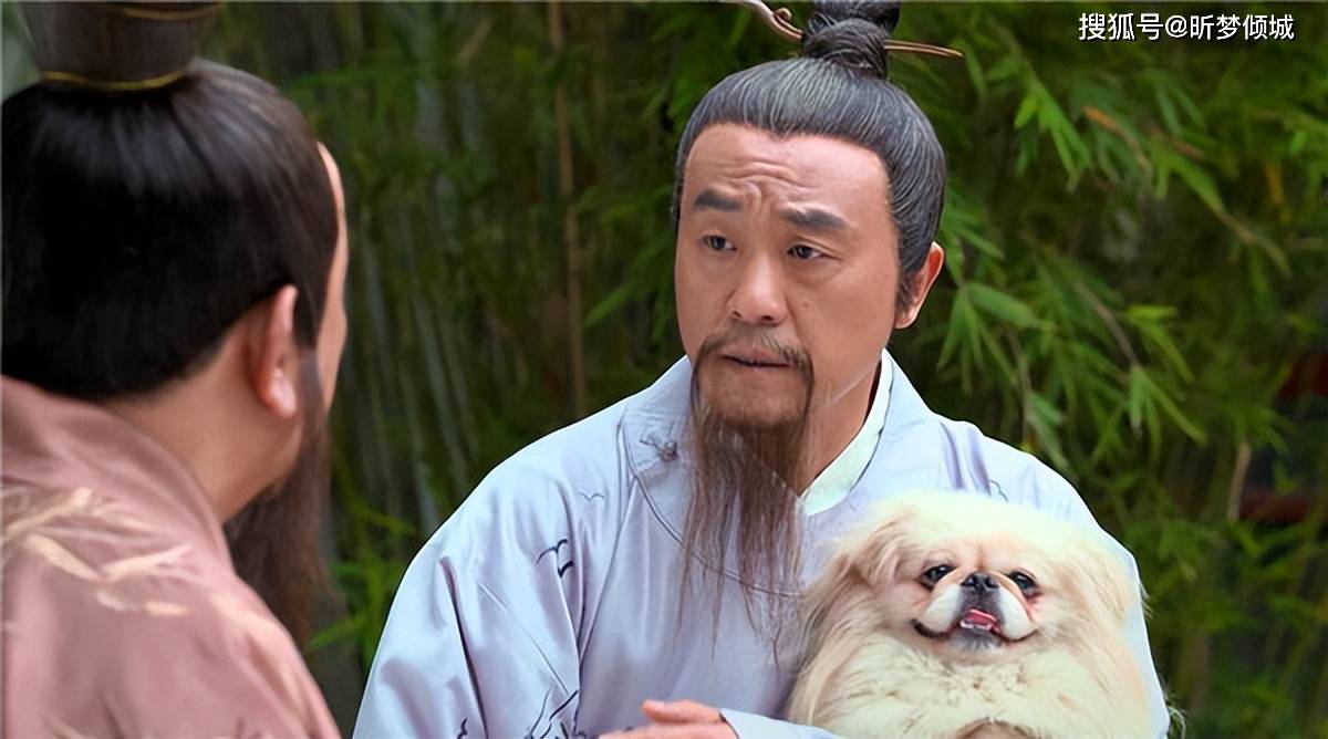 定天下劉伯溫打一生肖——探尋傳奇背后的秘密，劉伯溫傳奇背后的生肖揭秘，定天下之生肖探秘