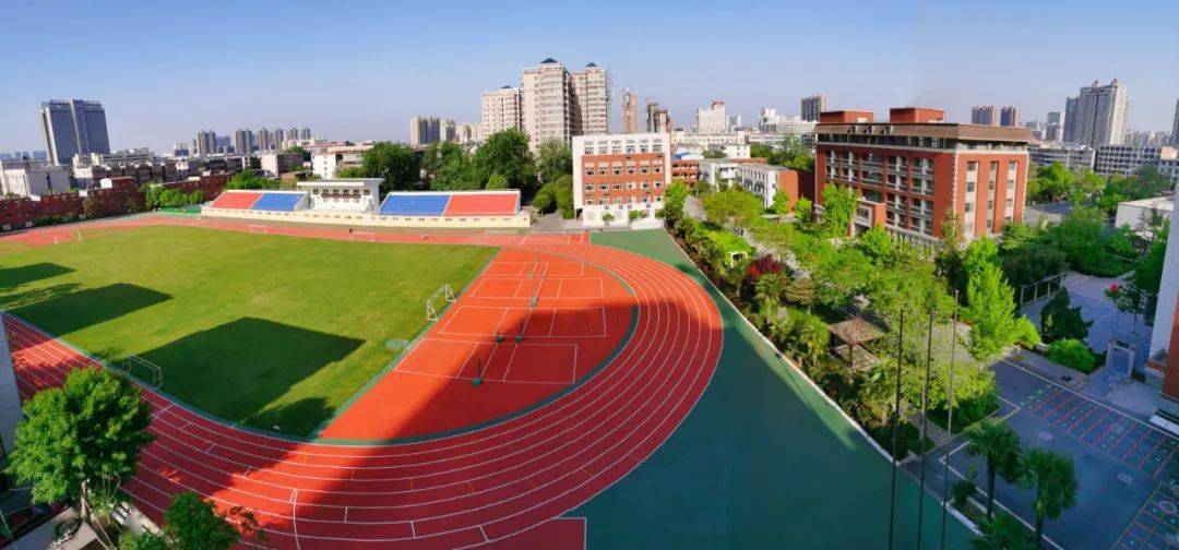 特平一肖王中王大公開，揭秘背后的秘密與策略，揭秘特平一肖王中王大策略與背后秘密