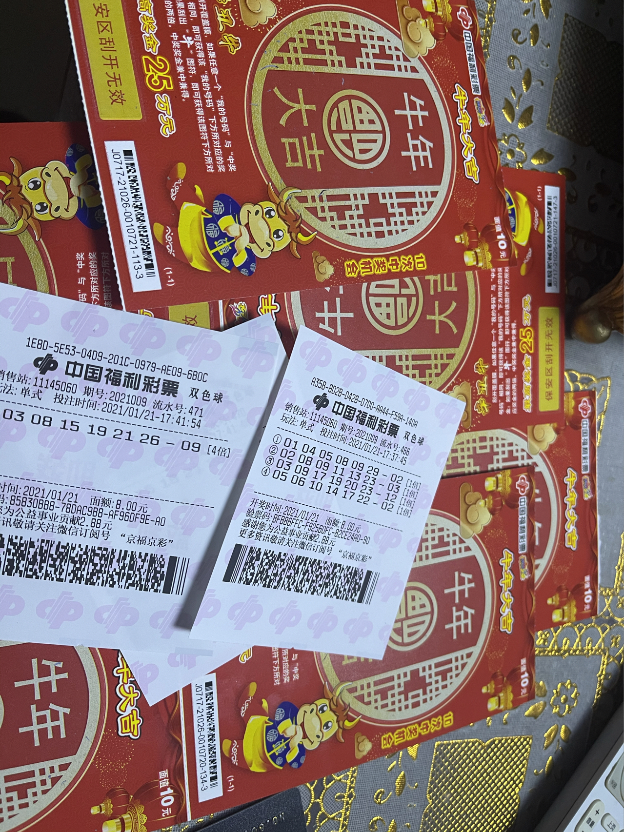 香巷平特一肖王中王，揭秘背后的秘密與策略，揭秘香巷平特一肖王中王的秘密與策略