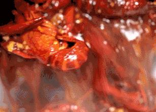 今日新聞?lì)^條，最新消息一覽，今日新聞?lì)^條，最新消息一覽無余