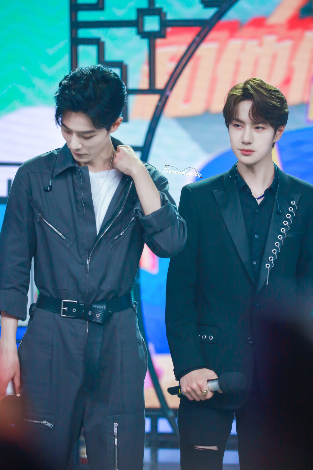 王中王一肖中特，探尋背后的故事與趨勢（2019年觀察），探尋王中王一肖背后的故事與趨勢，2019年觀察報告