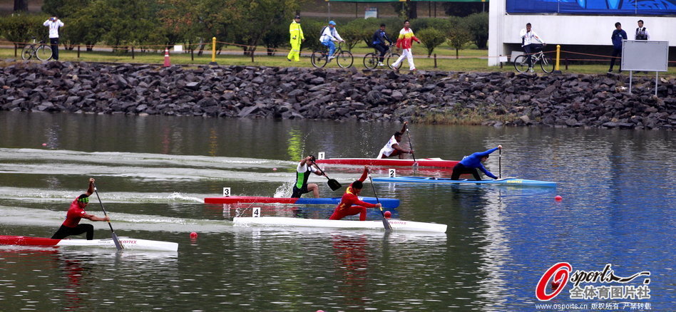 王中王選一肖一馬期期中，揭秘彩票背后的秘密策略，揭秘彩票背后的秘密策略，王中王選一肖一馬期期中之道