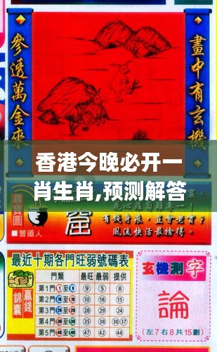香港與彩王中王精準一肖，揭秘彩票背后的秘密，揭秘彩票背后的秘密，香港與彩王中王精準一肖探究