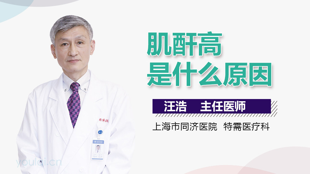 肌酐高是什么原因？深入了解背后的因素，肌酐高背后的原因，深入了解與解析