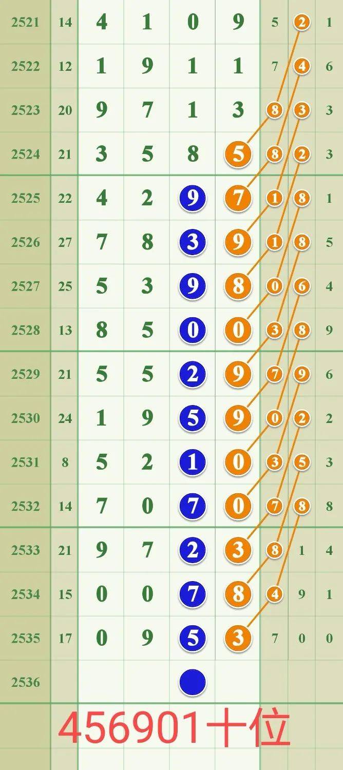 揭秘029期王中王平特一肖的神秘面紗，揭秘王中王平特一肖的神秘面紗