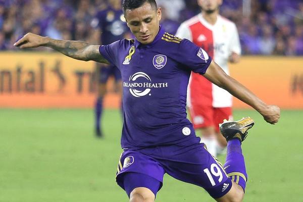 管家婆必中一肖圖正版，揭秘彩票背后的秘密與策略，揭秘彩票背后的秘密與策略，管家婆必中一肖圖正版分析