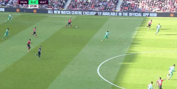 精準一肖，揭秘免費預測背后的秘密，揭秘精準預測生肖背后的秘密，免費預測背后的真相探索