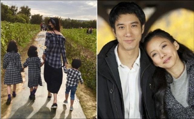 李靚蕾的家世背景深度解析，李靚蕾家世背景深度探究