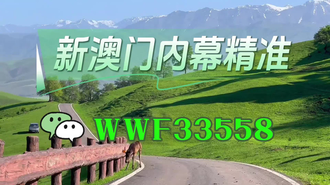 澳門精準免費大全，探索未來的預測與機遇（2025年展望），澳門未來展望，精準預測與機遇探索（2025年）