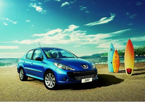 王中王307期指一生肖——深度解讀與SEO優(yōu)化，王中王307期生肖深度解讀與SEO優(yōu)化策略揭秘