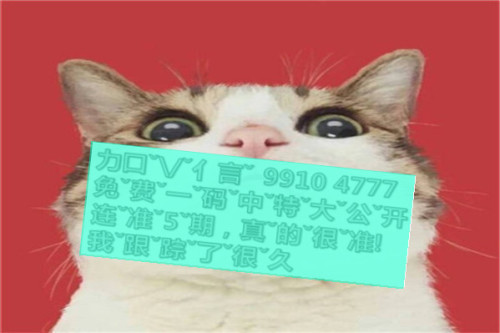 一肖啥意思，深度解析與SEO優(yōu)化文章，一肖含義深度解析與SEO優(yōu)化策略探討