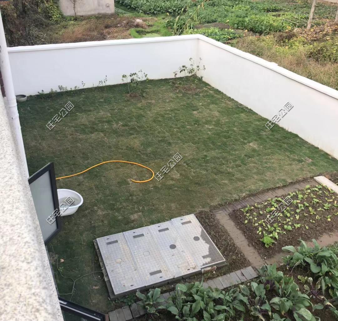 一肖中2碼，揭秘彩票背后的秘密與策略，揭秘彩票背后的策略與秘密，一肖中兩碼解析