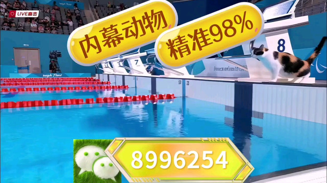 王中王特馬中心一肖囹，探索與解析，王中王特馬中心一肖囹，深度探索與解析